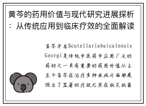 黄芩的药用价值与现代研究进展探析：从传统应用到临床疗效的全面解读