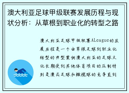 澳大利亚足球甲级联赛发展历程与现状分析：从草根到职业化的转型之路